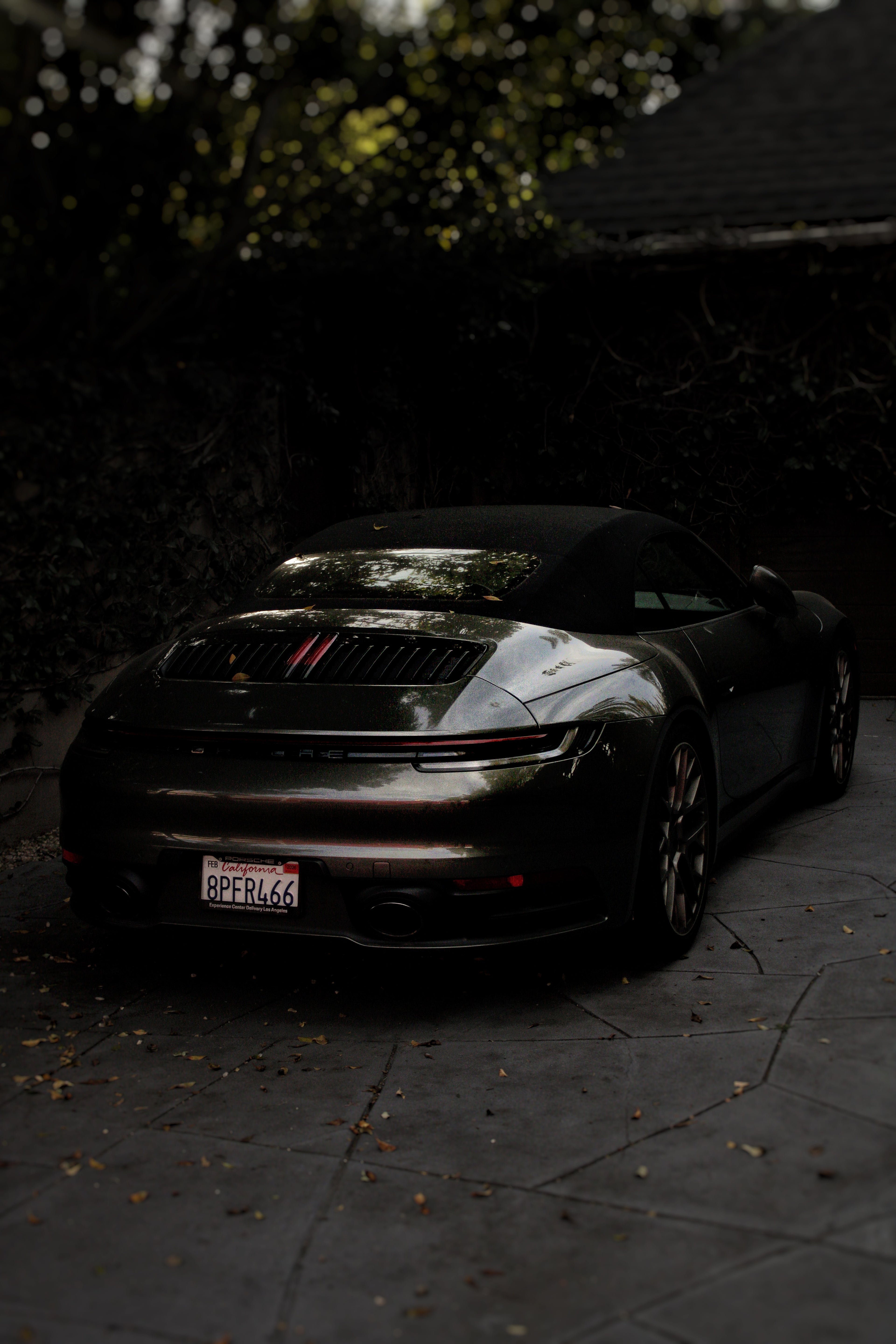 Photo Session w/ Editing Package (1 hour minimum)