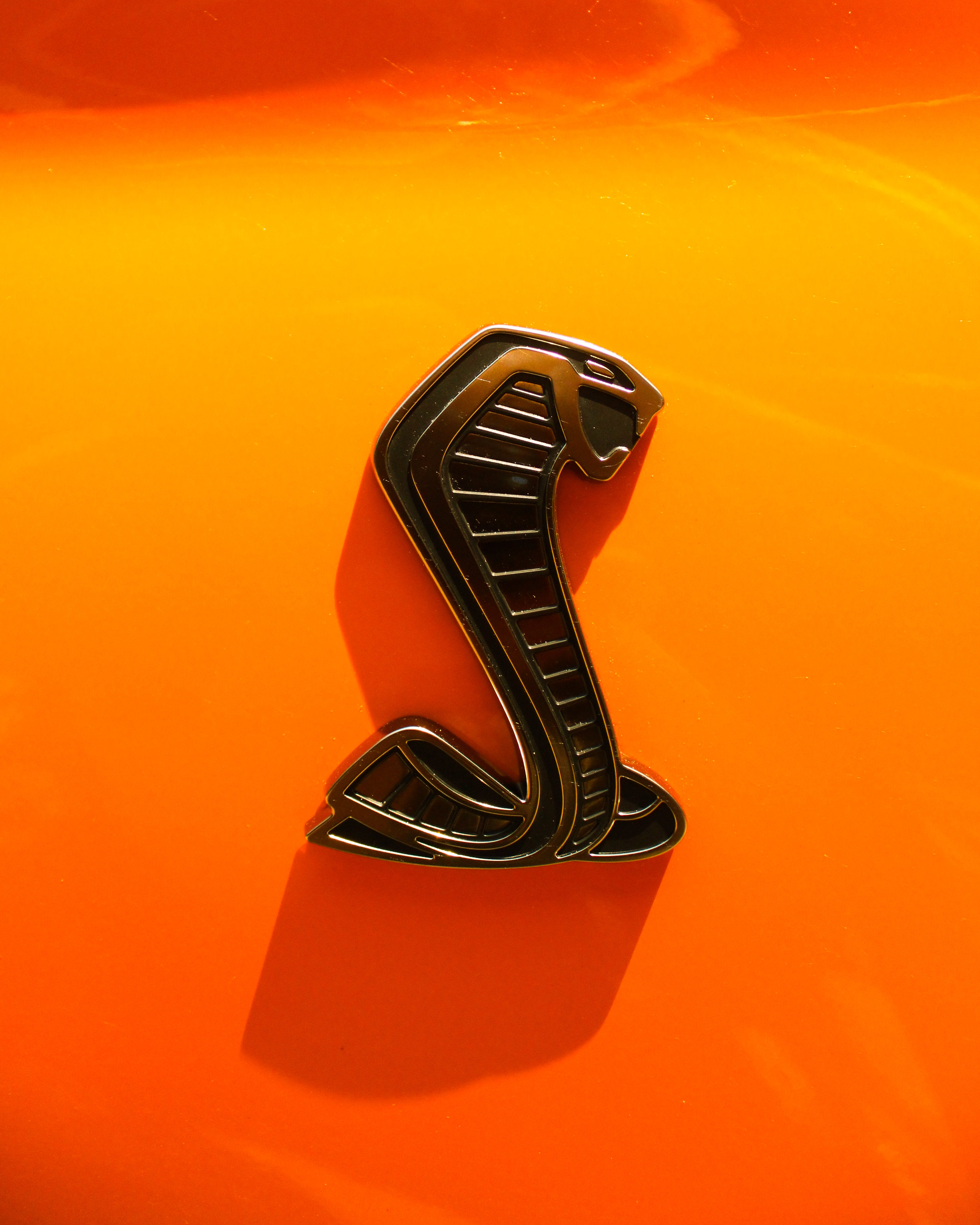 Editing and Color Correction (50 photos)